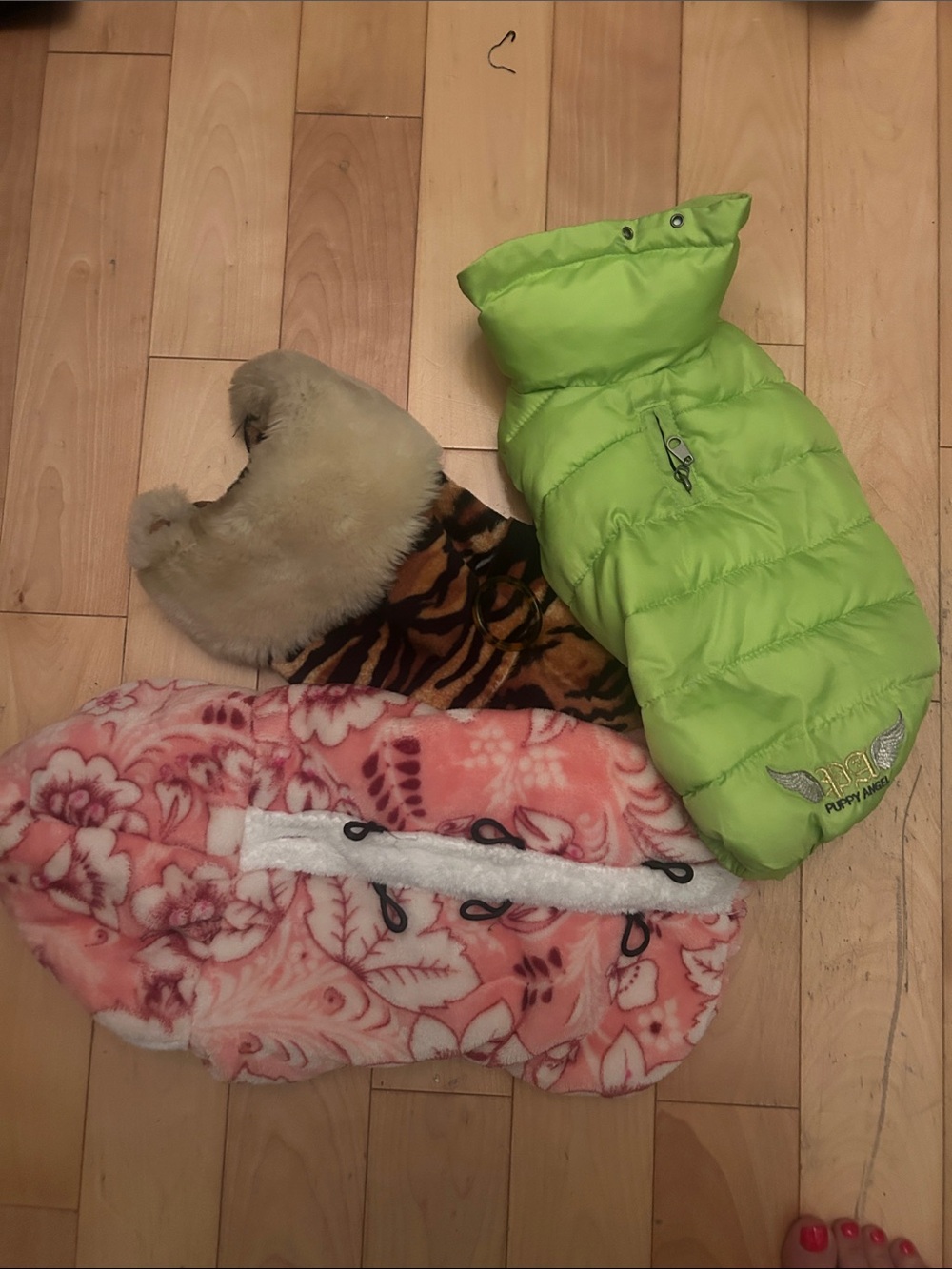 Dogs Puffy Lime Green  Puffer Coat - and 2 jackets